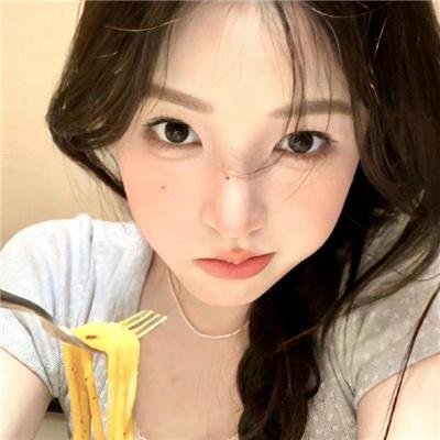 大象之梦